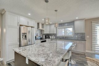 Photo 12: 79 Rundlefield Close NE in Calgary: Rundle Detached for sale : MLS®# A1040501
