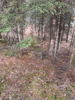 Photo 19: 231057 Rge Rd 54: Bragg Creek Residential Land for sale : MLS®# A1118605