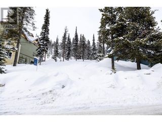 Photo 27: 7370 Porcupine Road in Big White: Vacant Land for sale : MLS®# 10304581