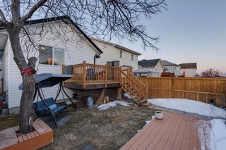 Photo 31: 169 Country Hills Place NW in Calgary: Country Hills Detached for sale : MLS®# A2035817