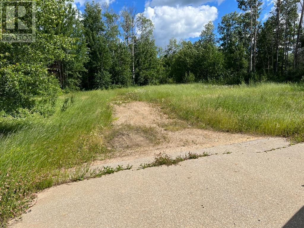 Main Photo: 2619 cranberry lane in Wabasca: Vacant Land for sale : MLS®# A1228981