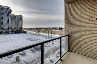 Photo 17: 418 8710 Horton in Calgary: Haysboro Apartment for sale : MLS®# A2014140