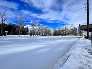 Photo 35: 1008 Lake Twintree Drive SE in Calgary: Lake Bonavista Detached for sale : MLS®# A1174381