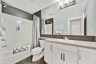 Photo 25: 354 Nolan Hill Drive NW in Calgary: Nolan Hill Detached for sale : MLS®# A1221876