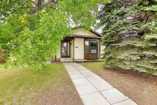 Photo 4: 4603 43 Street NE in Calgary: Whitehorn Detached for sale : MLS®# A1031744