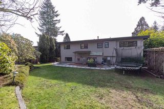 Photo 37: 2442 CARNATION Street in North Vancouver: Blueridge NV House for sale in "BLUERIDGE" : MLS®# R2540353