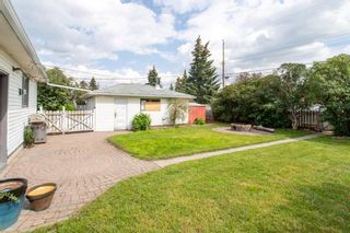 Photo 13: 8115 43 Avenue NW in Calgary: Bowness Detached for sale : MLS®# A2063329