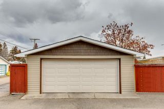Photo 36: 609 Agate Crescent SE in Calgary: Acadia Detached for sale : MLS®# A2039799