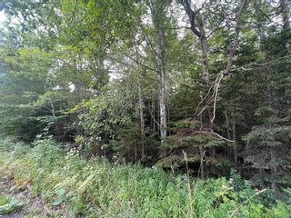 Photo 14: Lot 4 Heron Road in Central West River: 108-Rural Pictou County Vacant Land for sale (Northern Region)  : MLS®# 202221259