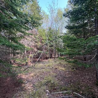 Photo 7: Lot 5 Raspberry Court in Italy Cross: 405-Lunenburg County Vacant Land for sale (South Shore)  : MLS®# 202309674