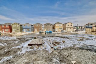 Photo 42: 1124 BAYVIEW Gardens SW: Airdrie Detached for sale : MLS®# A2034853