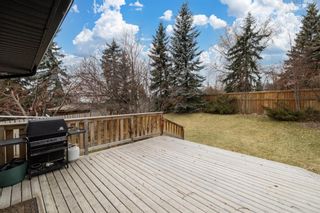 Photo 35: 8480 62 Avenue NW in Calgary: Silver Springs Detached for sale : MLS®# A1156340
