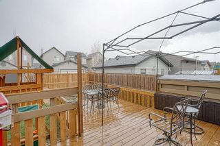 Photo 36: 53 Cramond Circle SE in Calgary: Cranston Detached for sale : MLS®# A1216665