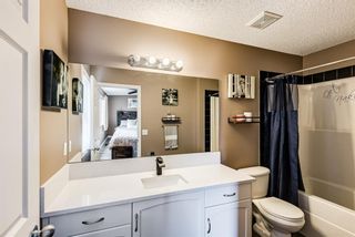 Photo 26: 53 Copperfield Court SE in Calgary: Copperfield Row/Townhouse for sale : MLS®# A1165775