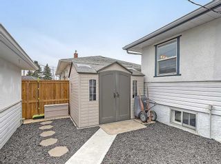 Photo 45: 33 Montrose Crescent NE in Calgary: Winston Heights/Mountview Detached for sale : MLS®# A2125358
