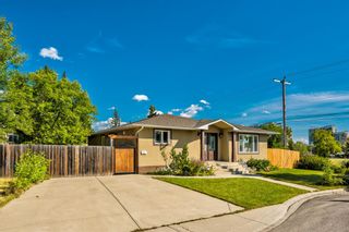 Photo 4: 8248 4A Street SW in Calgary: Kingsland Detached for sale : MLS®# A1165175
