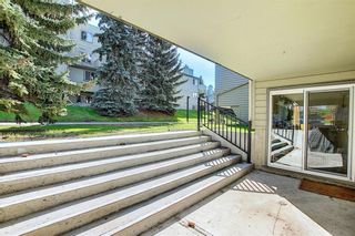 Photo 16: 2137 70 GLAMIS Drive SW in Calgary: Glamorgan Apartment for sale : MLS®# C4299389