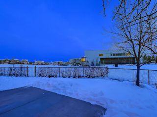 Photo 39: 30 Springborough Crescent SW in Calgary: Springbank Hill Detached for sale : MLS®# A1070980
