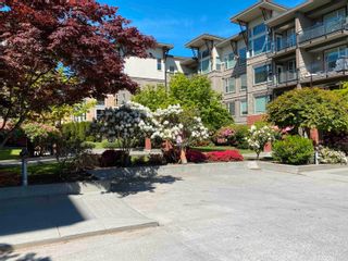 Photo 17: 410 33539 HOLLAND Avenue in Abbotsford: Central Abbotsford Condo for sale in "THE CROSSING" : MLS®# R2862430