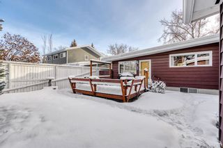 Photo 38: 608 Willow Park Drive SE in Calgary: Willow Park Detached for sale : MLS®# A2021978