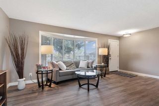 Photo 3: 244 Dovely Place SE in Calgary: Dover Detached for sale : MLS®# A2132664