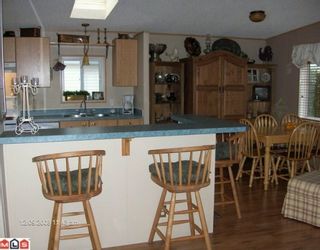Photo 9: 48 41168 LOUGHEED Highway in Mission: Dewdney Deroche Manufactured Home for sale in "Oasis Estates" : MLS®# F1001835