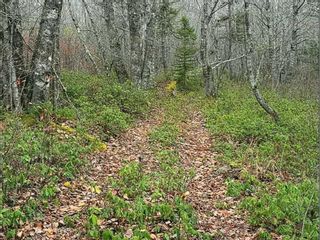 Photo 1: Lot Sandy Point Road in Jordan Bay: 407-Shelburne County Vacant Land for sale (South Shore)  : MLS®# 202317326
