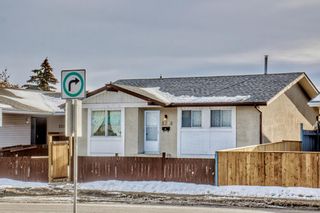 Photo 2: 5319 Madigan Drive NE in Calgary: Marlborough Park Detached for sale : MLS®# A2024302