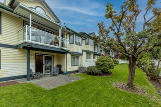 Photo 32: 6 22538 116 Avenue in Maple Ridge: East Central Townhouse for sale in "POOLSIDE FRASERVIEW VILLAGE" : MLS®# R2878641