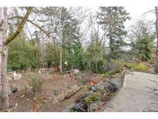 Photo 20: 991 Lavender Ave in VICTORIA: SW Marigold House for sale (Saanich West)  : MLS®# 748904