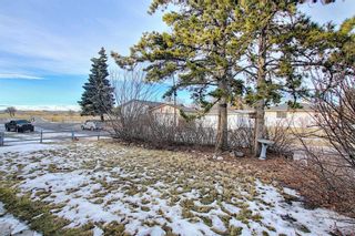 Photo 23: 451 Lysander Drive SE in Calgary: Ogden Detached for sale : MLS®# A1053955