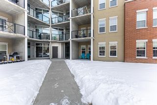 Photo 21: 1610 11811 Lake Fraser Drive SE in Calgary: Lake Bonavista Apartment for sale : MLS®# A2032899