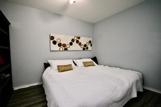 Photo 5: 303 1717 60 Street SE in Calgary: Red Carpet Apartment for sale : MLS®# A1152077
