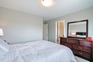 Photo 28: 9 Copperpond Avenue SE in Calgary: Copperfield Detached for sale : MLS®# A1232271