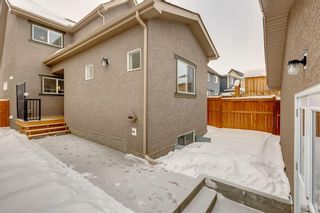 Photo 41: 278 Marquis Court SE in Calgary: Mahogany Detached for sale : MLS®# A2032227