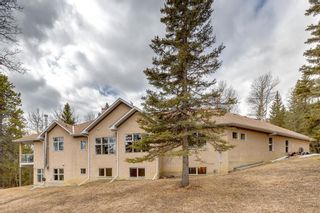 Photo 47: 49 Elbow Rise: Bragg Creek Detached for sale : MLS®# A2037712