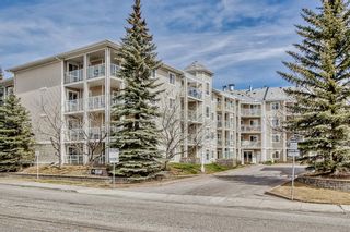 Photo 1: 116 260 Shawville Way SE in Calgary: Shawnessy Apartment for sale : MLS®# A2043979