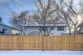 Photo 31: 212 Rundlefield Road NE in Calgary: Rundle Detached for sale : MLS®# A1166043