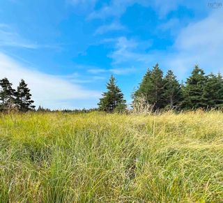 Photo 14: 2657 West Sable in Little Harbour: 407-Shelburne County Vacant Land for sale (South Shore)  : MLS®# 202221532