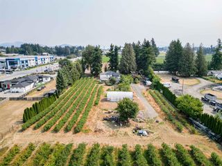 Photo 5: 1963 TOWNLINE Road in Abbotsford: Poplar Agri-Business for sale : MLS®# C8058456