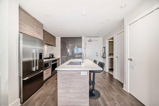 Photo 8: 313 38 9 Street NE in Calgary: Bridgeland/Riverside Apartment for sale : MLS®# A2133357