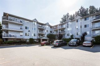 Photo 1: 206 2750 FULLER Street in Abbotsford: Central Abbotsford Condo for sale in "VALLEY VIEW TERRACE" : MLS®# R2310500