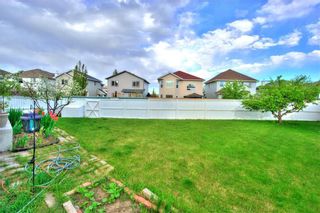 Photo 34: 212 COVEWOOD GR NE in Calgary: Coventry Hills Detached for sale : MLS®# C4299323