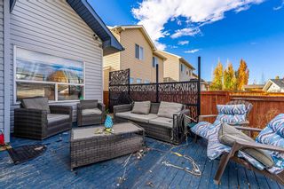 Photo 27: 1084 Prestwick Circle SE in Calgary: McKenzie Towne Detached for sale : MLS®# A2088651