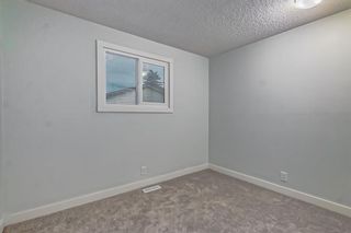 Photo 15: 107 Erin Woods Drive SE in Calgary: Erin Woods Detached for sale : MLS®# A2034907