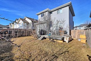 Photo 16: 111 Coral Springs Court NE in Calgary: Coral Springs Detached for sale : MLS®# A1181011