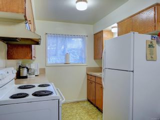 Photo 14: 801 Anderson Ave in Esquimalt: Es Old Esquimalt Full Duplex for sale : MLS®# 893369