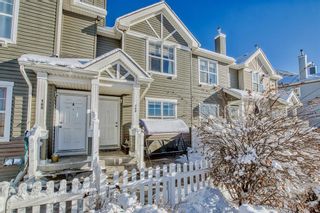 Main Photo: 169 Elgin Gardens SE in Calgary: McKenzie Towne Row/Townhouse for sale : MLS®# A2022223