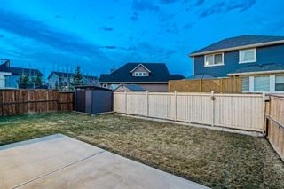 Photo 48: 102 Stonemere Green: Chestermere Detached for sale : MLS®# A2122937