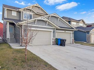 Main Photo: 174 Saddlelake Way NE in Calgary: Saddle Ridge Semi Detached (Half Duplex) for sale : MLS®# A2089750